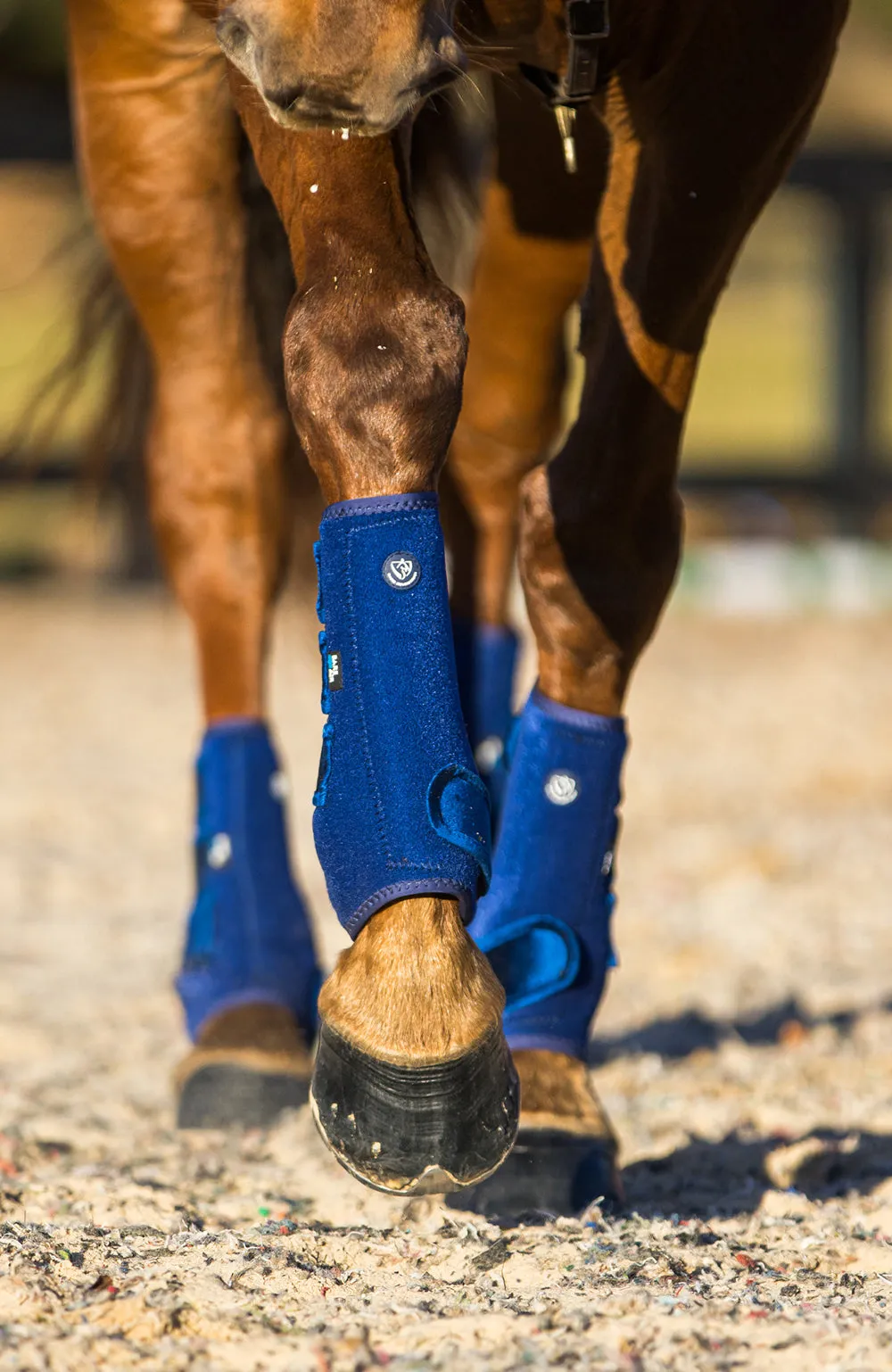 BARE Horse Wear - AIRFLOW Pro Sport Boots - Blue