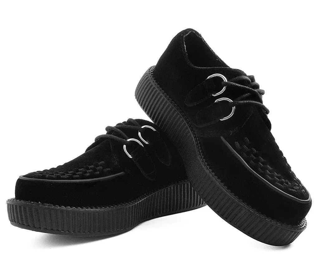 Black Velvet Creeper