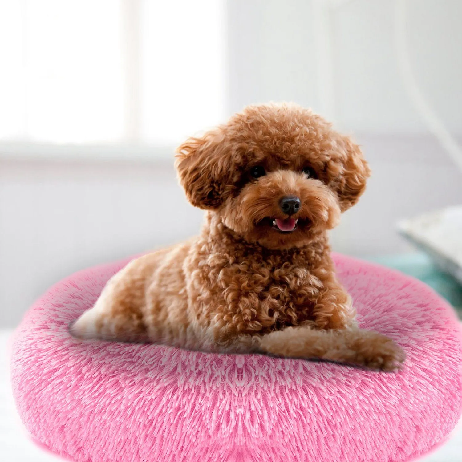 Dog Cozy Nest Sofa Bed Cushion