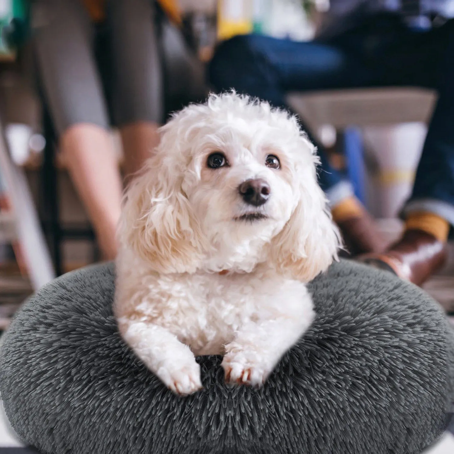 Dog Cozy Nest Sofa Bed Cushion