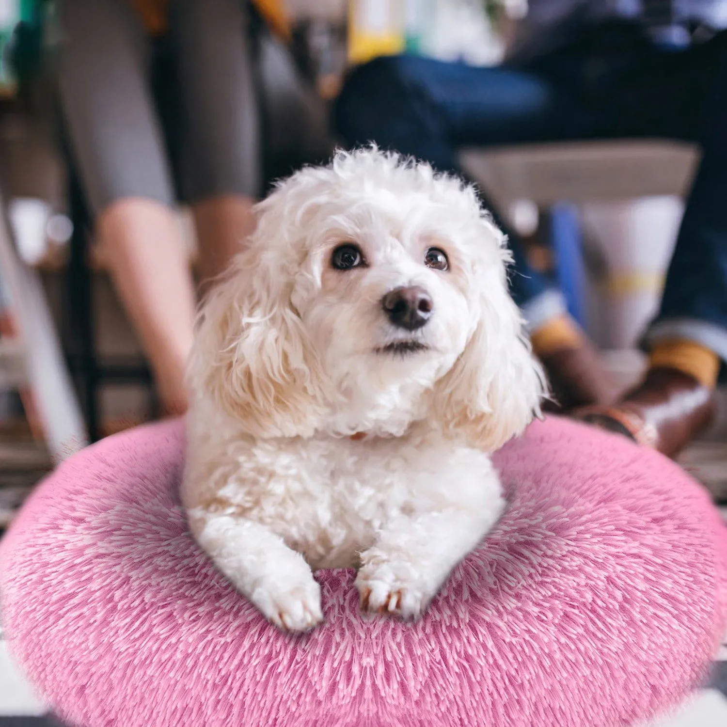 Dog Cozy Nest Sofa Bed Cushion