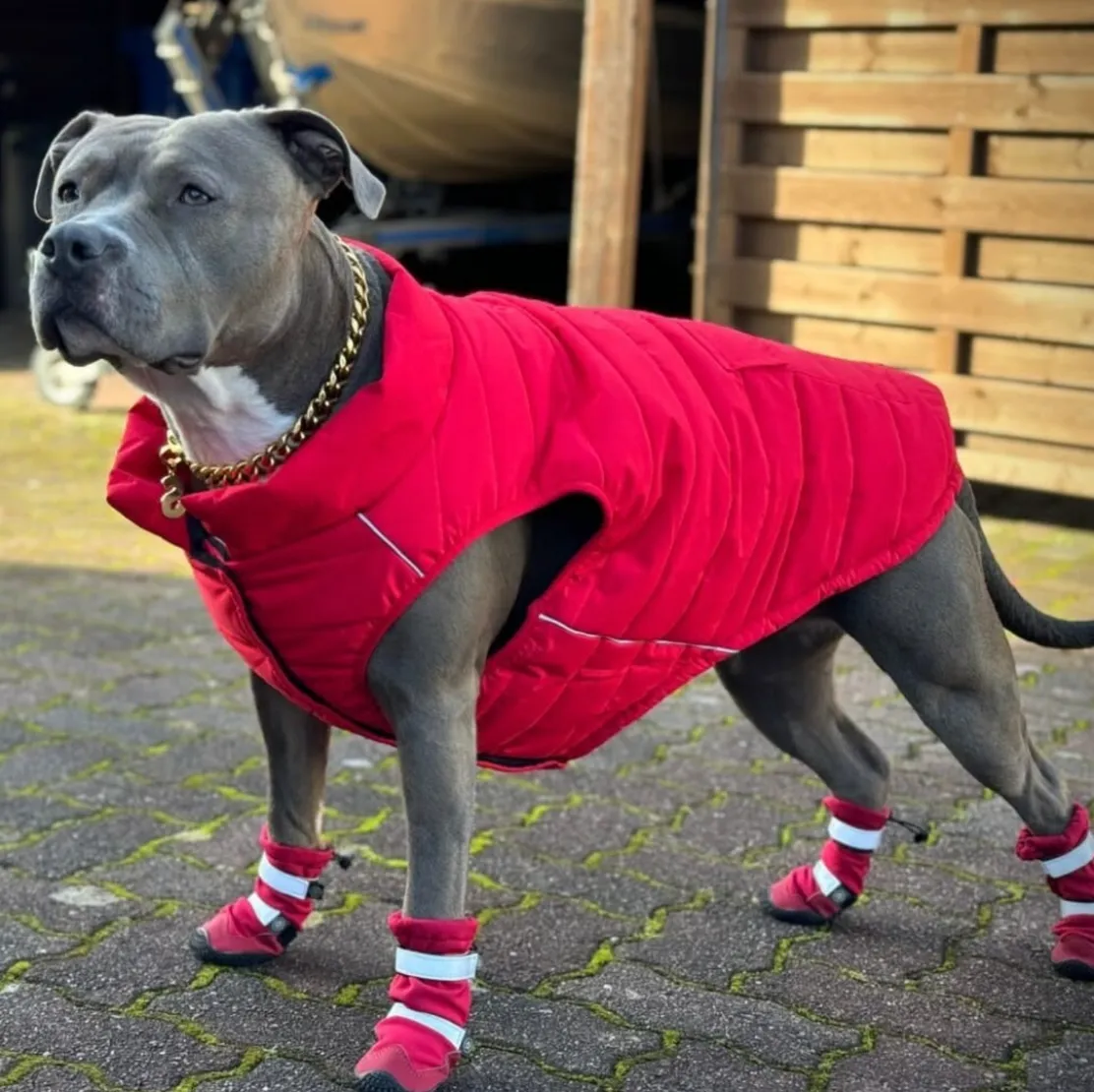 Flex Shell Water-resistant Dog Boots - Red