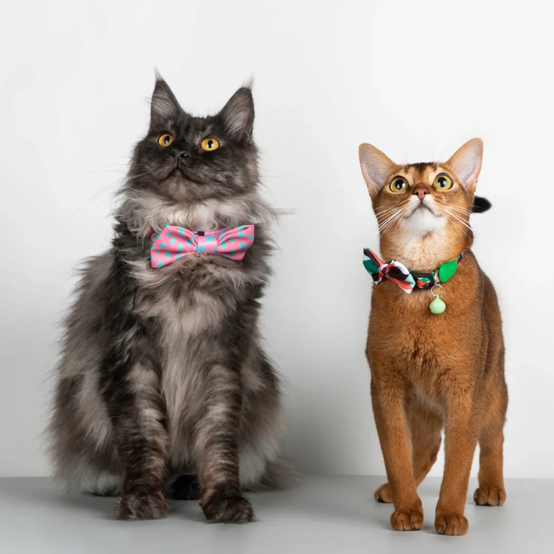 HiDream® | Cute Colorful Collection Dog and Cat Bow Ties