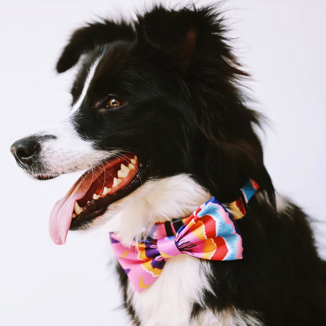 HiDream® | Cute Colorful Collection Dog and Cat Bow Ties