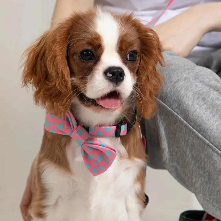 HiDream® | Cute Colorful Collection Dog and Cat Bow Ties