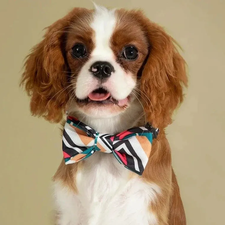 HiDream® | Cute Colorful Collection Dog and Cat Bow Ties