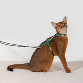 HiDream® | Explorer Cat Harness and Leash Set