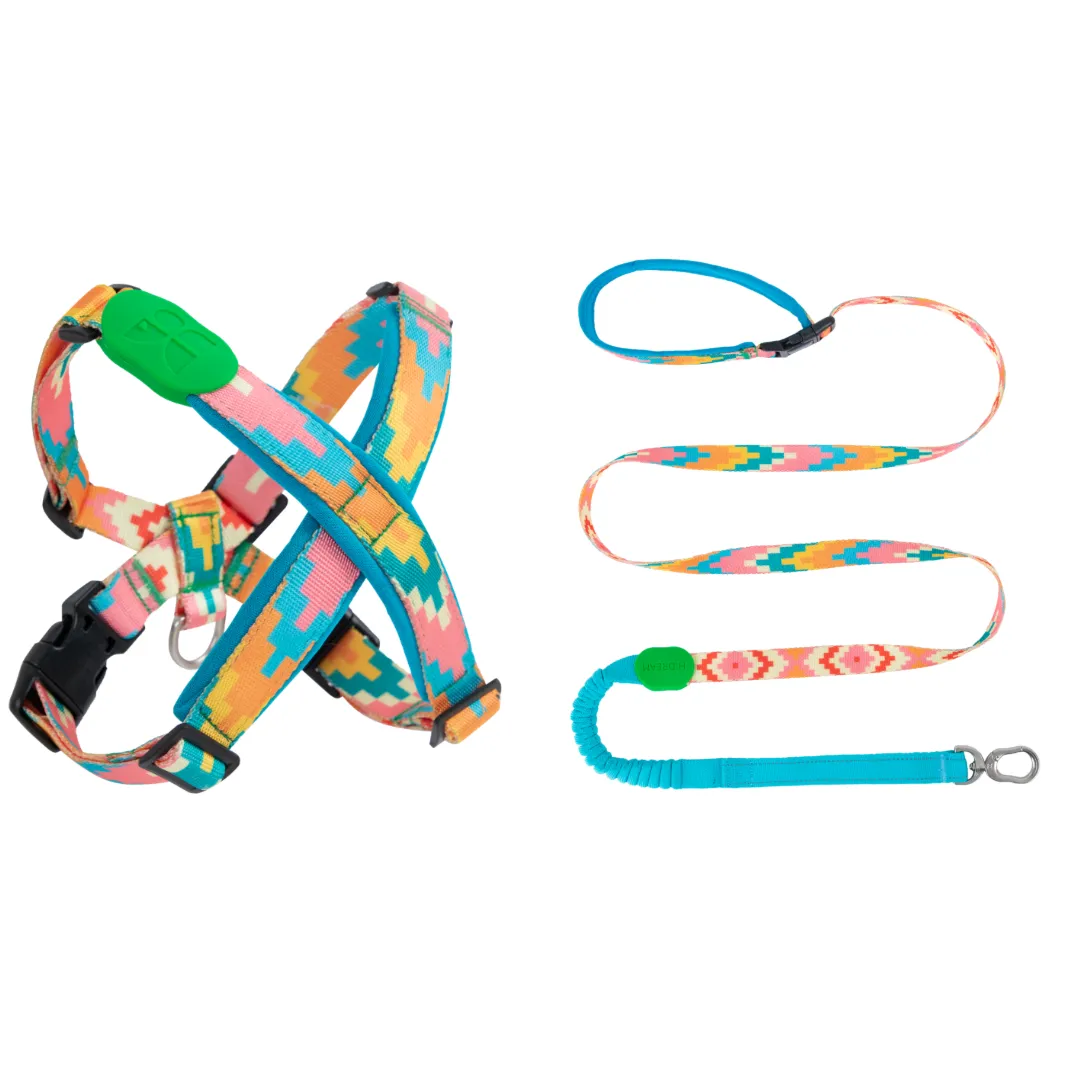 HiDream® | Fashion Pro Adjustable Type X Dog Harness and Leash Set