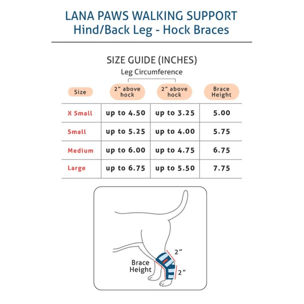 Lana Paws Back Leg Splint Braces for Hock Joint Ankle Support & Mobility for Dogs and Cats (Black)